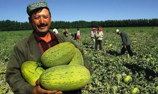 多元文化交融的边疆明珠——新疆